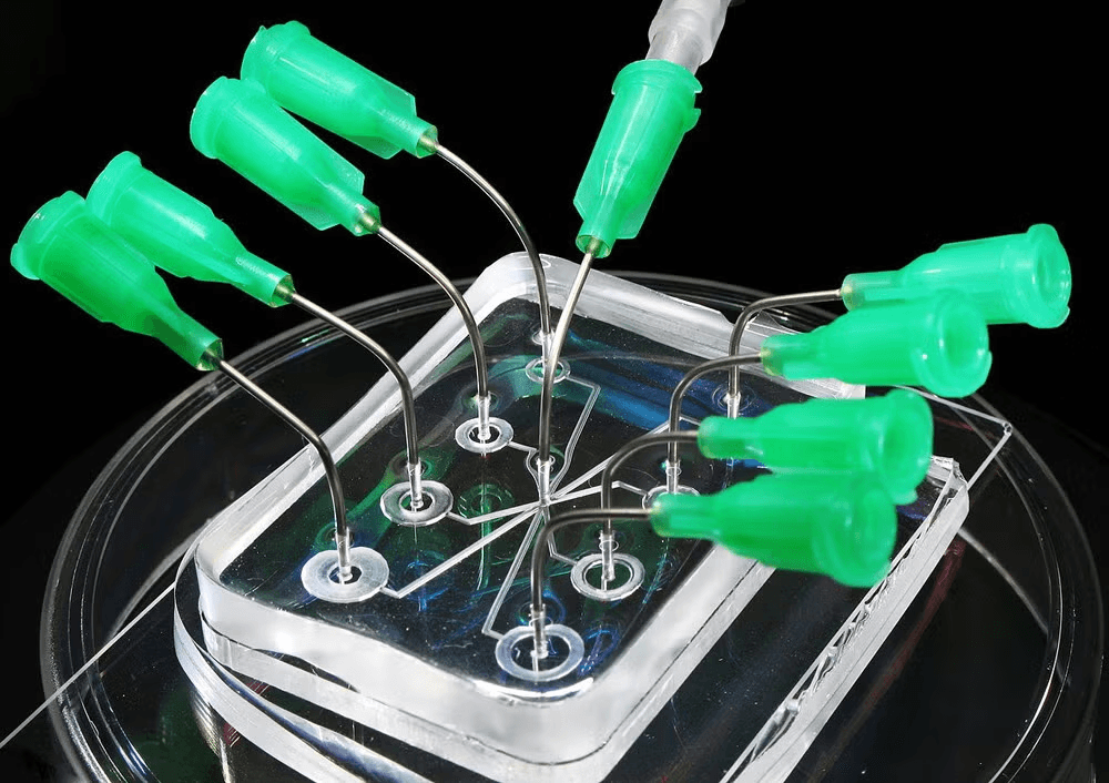 Microfluidics & Bio-microsystems (Lab-on-Chip)